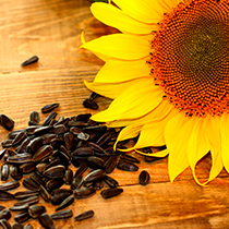 sunflowers_seeds_oil_ccm_food